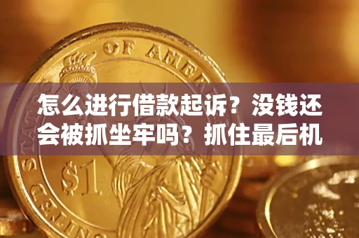 北京怎么进行借款起诉？没钱还会被抓坐牢吗？抓住最后机会！