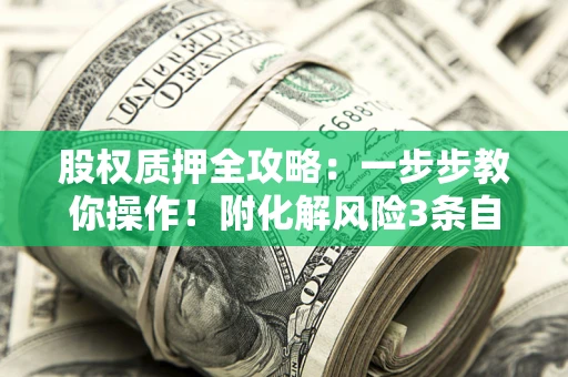 北京股权质押全攻略：一步步教你操作！附化解风险3条自救法则