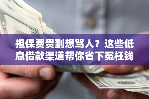 北京担保费贵到想骂人？这些低息借款渠道帮你省下冤枉钱