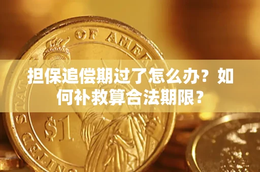 北京担保追偿期过了怎么办？如何补救算合法期限？