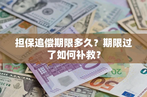 北京担保追偿期限多久？期限过了如何补救？