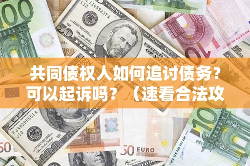 北京共同债权人如何追讨债务？可以起诉吗？（速看合法攻略）
