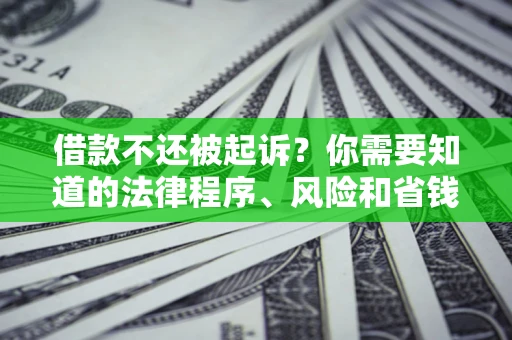 北京借款不还被起诉？你需要知道的法律程序、风险和省钱技巧